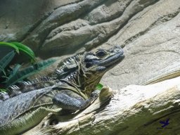 Haus des Meeres 13.03.2026